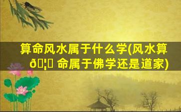 算命风水属于什么学(风水算 🦁 命属于佛学还是道家)